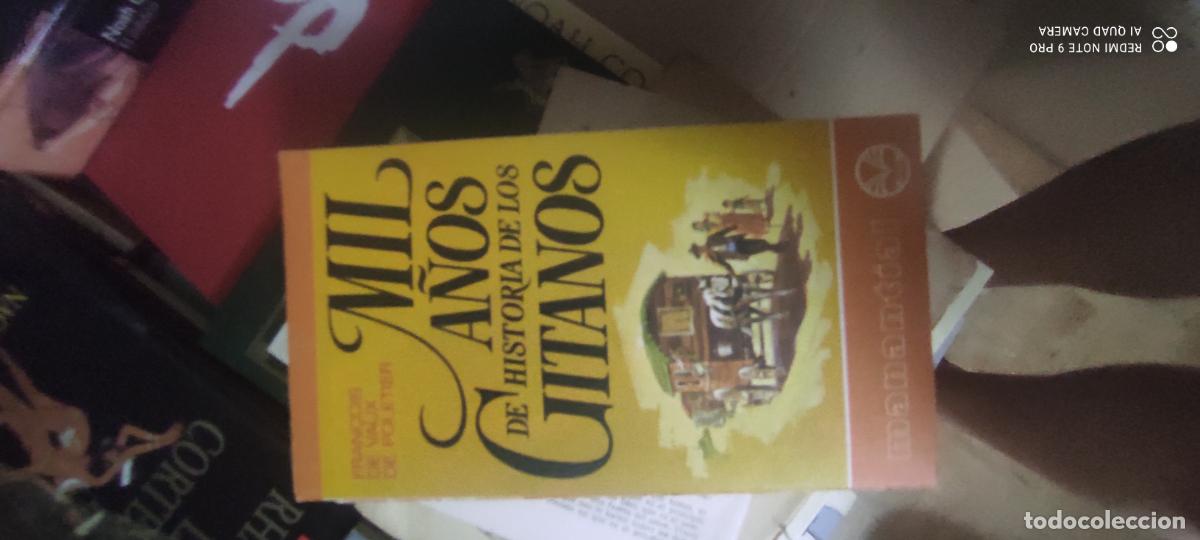 Libros de segunda mano: MIL A&Ntilde;OS DE HISTORIA DE LOS GITANOS FRAN&Ccedil;OIS DE VAUX DE FOLETIER