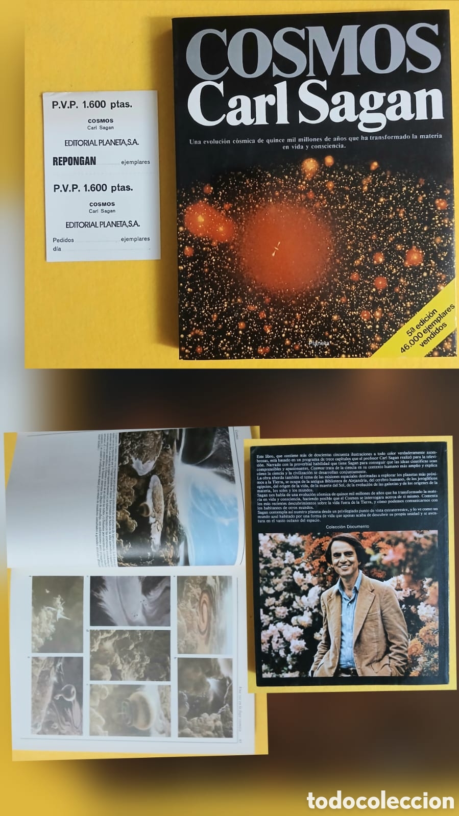 Libros de segunda mano: Cosmos, Carl Sagan (suri)