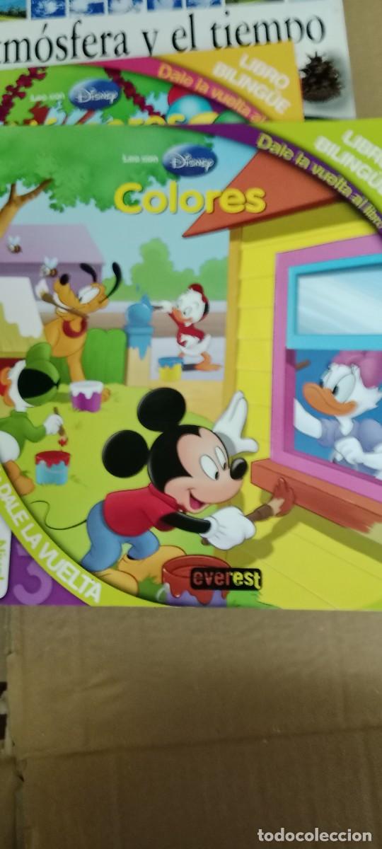 Libros de segunda mano: DISNEY COLORES LIBRO M-FON