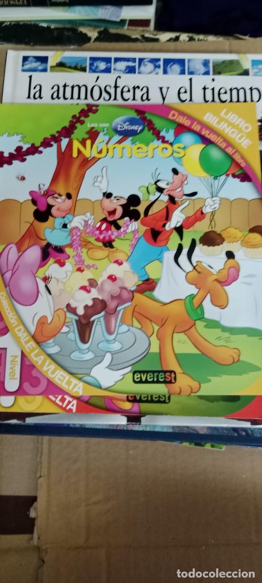Libros de segunda mano: DISNEY NUMEROS LIBRO M-FON