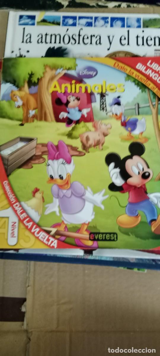 Libros de segunda mano: DISNEY ANIMALES LIBRO M-FON