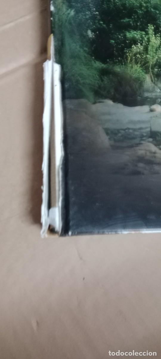Libros de segunda mano: DESCUBRE ESPA&Ntilde;A CANTABRIA LIBRO M-FON - Foto 2