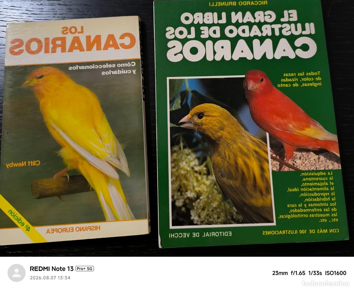 Libros de segunda mano: Lote 2 libros. Canarios ( aves )