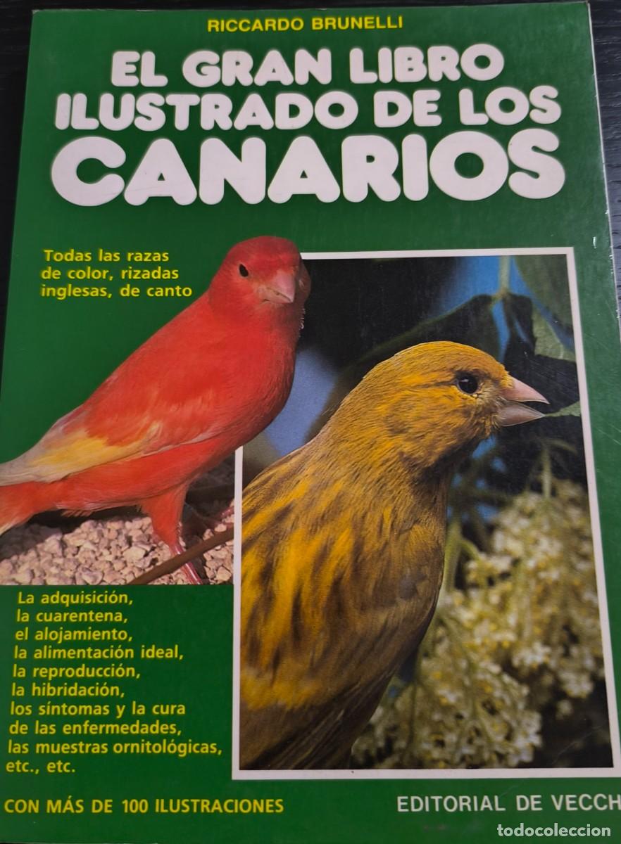 Libros de segunda mano: Lote 2 libros. Canarios (Aves) - Foto 3