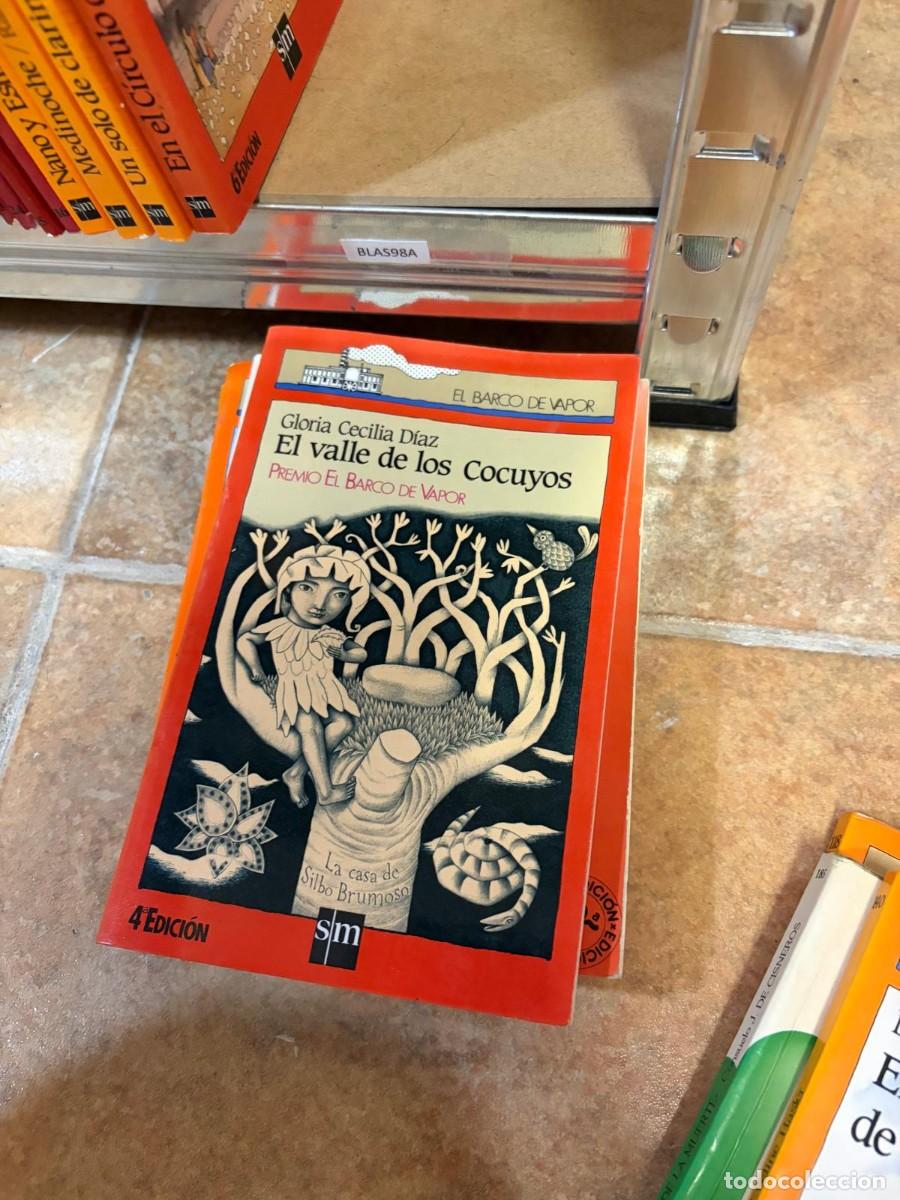 Libros de segunda mano: BLAS98A Gloria Cecilia D&iacute;az &ndash; El valle de los cocuyos &ndash; SM, colecci&oacute;n El Barco de Vapor.