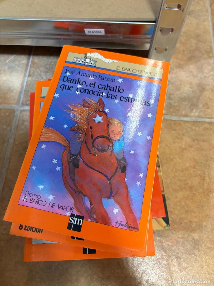 Libros de segunda mano: BLAS98A Jos&eacute; Antonio Panero &ndash; Danko, el caballo que conoc&iacute;a las estrellas &ndash; SM, colecci&oacute;n El Barco d