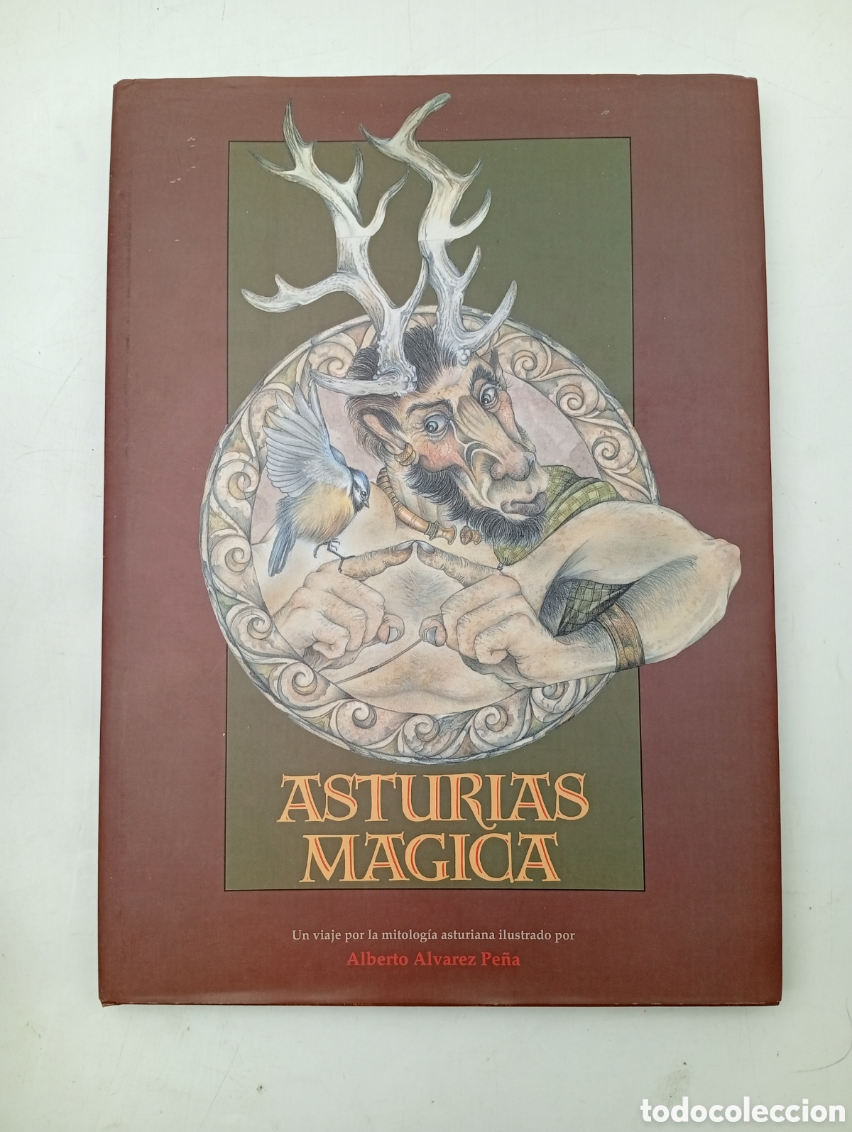 Libros de segunda mano: Asturias magica por Alberto &Aacute;lvarez Pe&ntilde;a