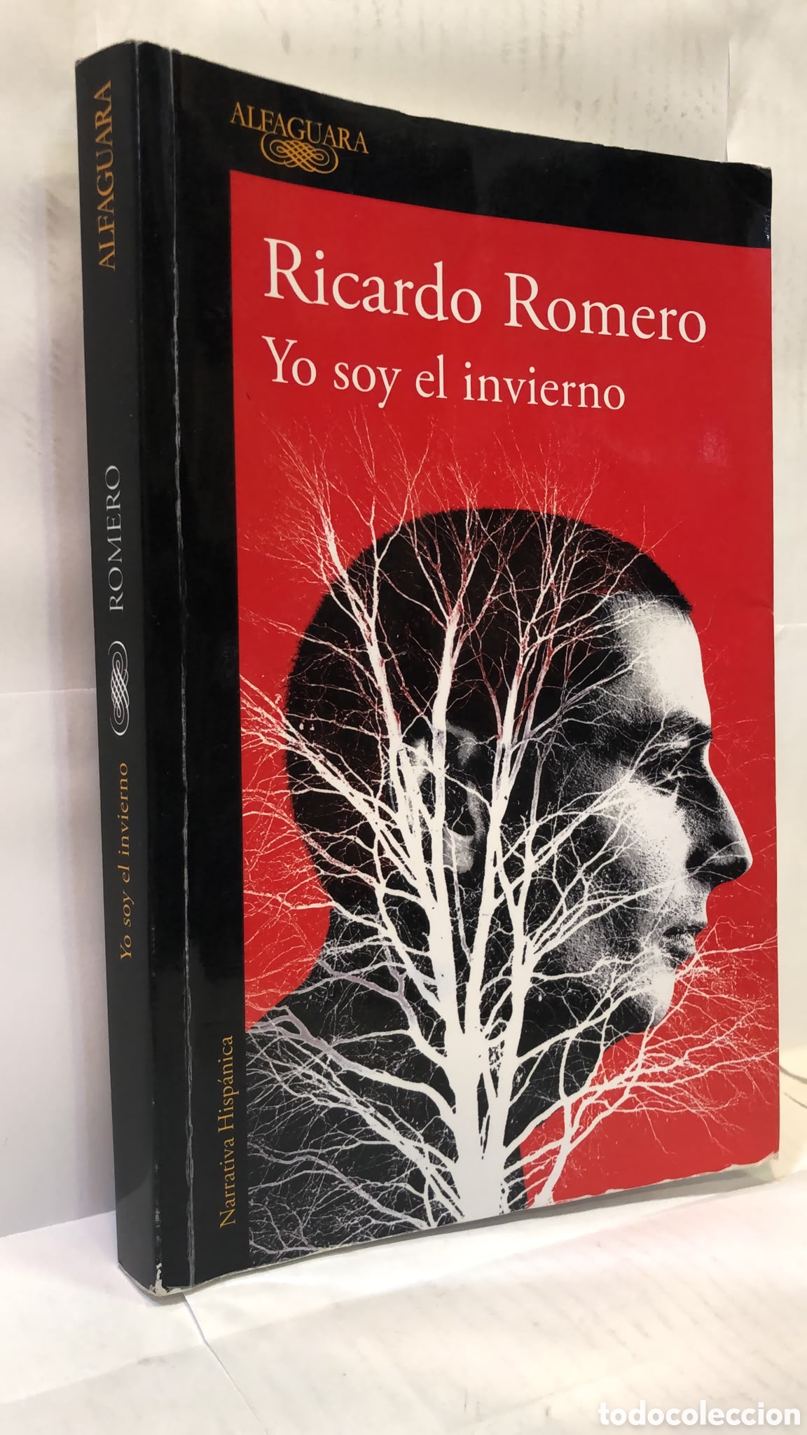 Gebrauchte B&uuml;cher: Yo soy el invierno - Ricardo Romero