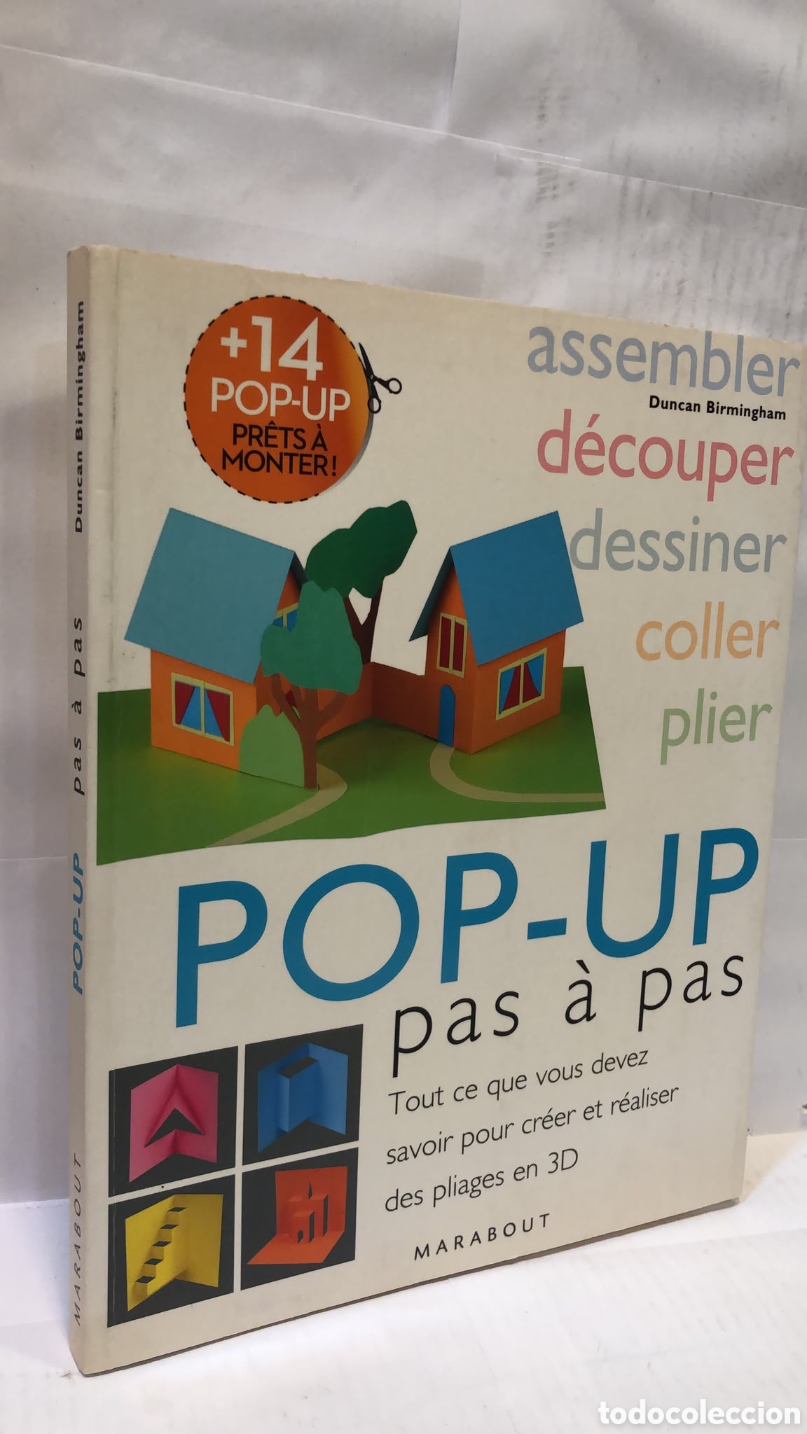 Livres d'occasion: Pop-Up. Pas &agrave; pas - Duncan Birmingham
