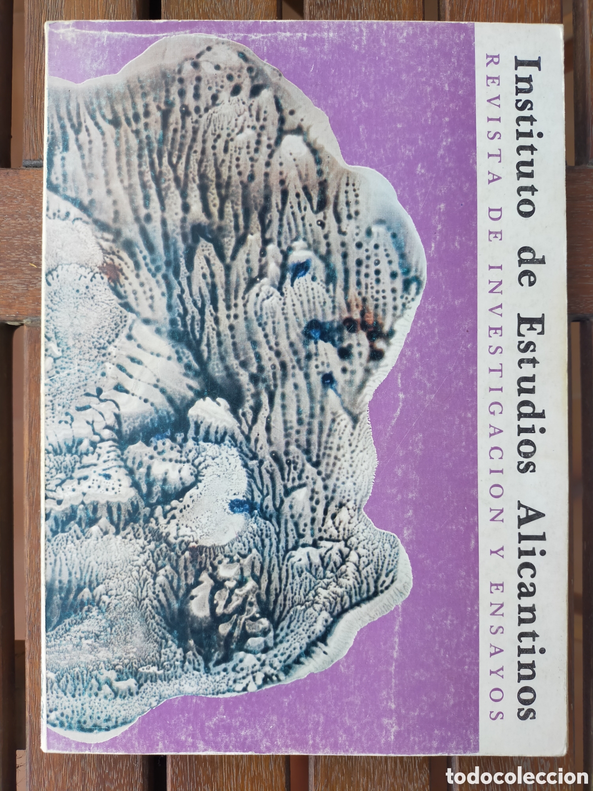 Libros de segunda mano: Instituto de Estudios Alicantinos, Revista de investigaci&oacute;n y ensayo, n&uacute;mero 37, 1982