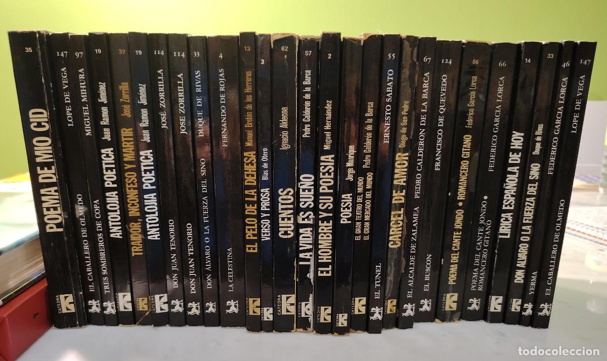 Libros de segunda mano: Lote de 27 libros de la serie Letras Hisp&aacute;nicas (Ed. C&aacute;tedra)