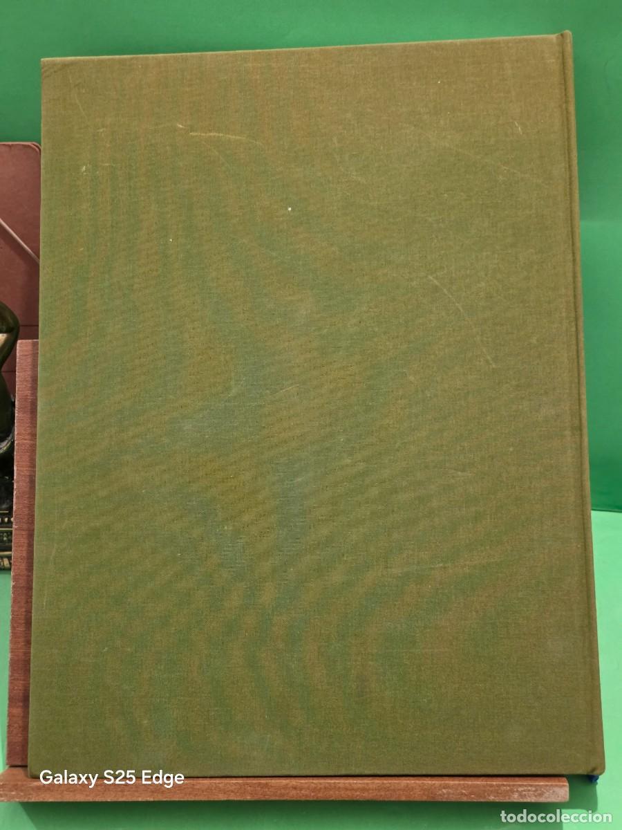 Libros de segunda mano: &rdquo;&rdquo;LAS CATEDRALES DE CASTILLA Y LE&Oacute;N&rdquo;&rdquo;...EDILESA...1994... - Foto 2
