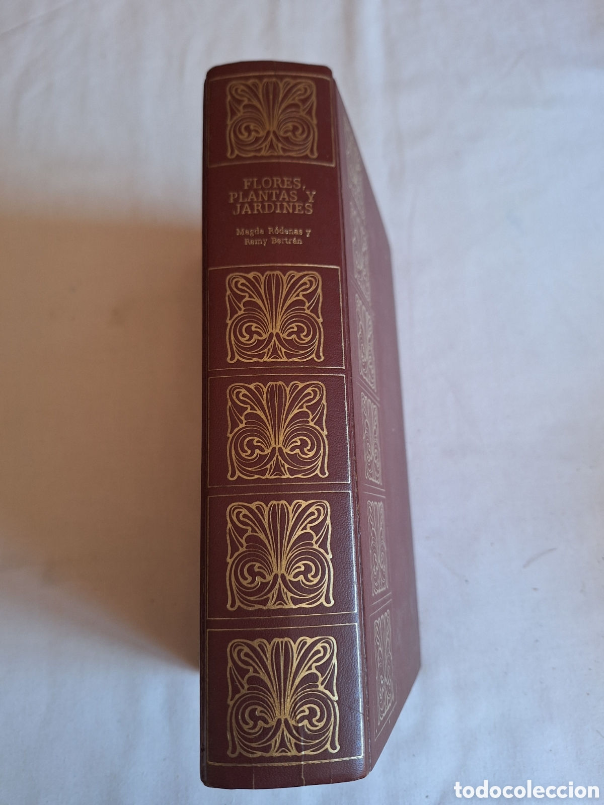 Libros de segunda mano: FLORES, PLANTAS Y JARDINES - MAGDA RODENAS, REMY BERTR&Aacute;N - ED. GASSO HNOS 1970