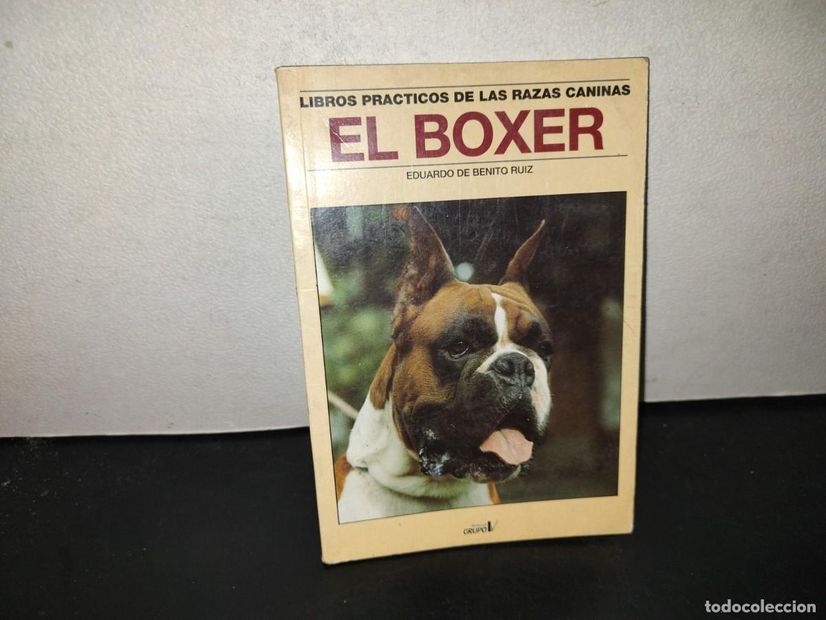 Libros de segunda mano: 197- Libros Pr&aacute;cticos De Las Razas Caninas. El Boxer. Eduardo De Benito Ruiz. Editorial Grupo V 1998