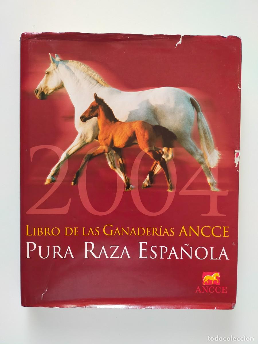 Libros de segunda mano: PURA RAZA ESPA&Ntilde;OLA, Libro de las Ganader&iacute;as 2004 - ANCCE 2004