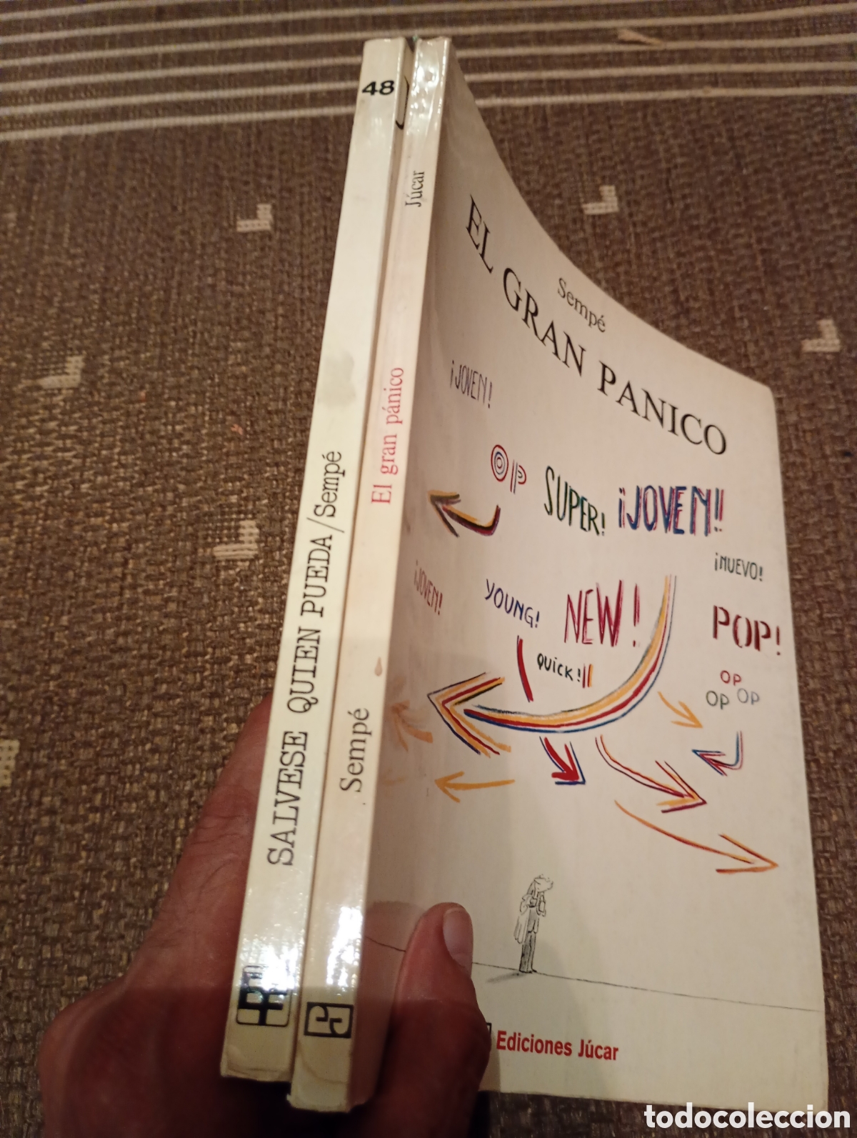 Libros de segunda mano: El gran p&aacute;nico Sempe editorial Jucar