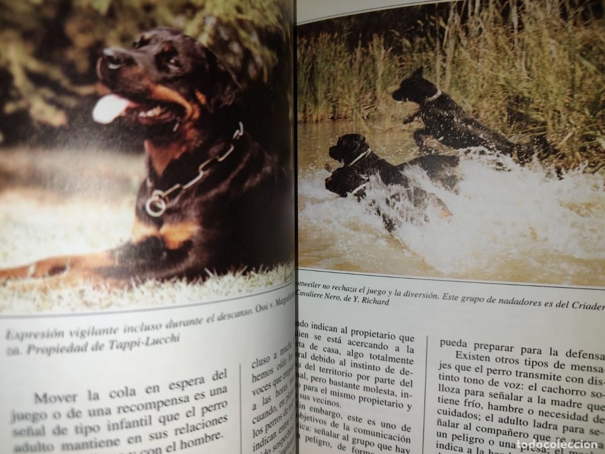 Libros de segunda mano: 197- Perros De Raza. El Rottweiler - Marina Salmoiraghi - Foto 6