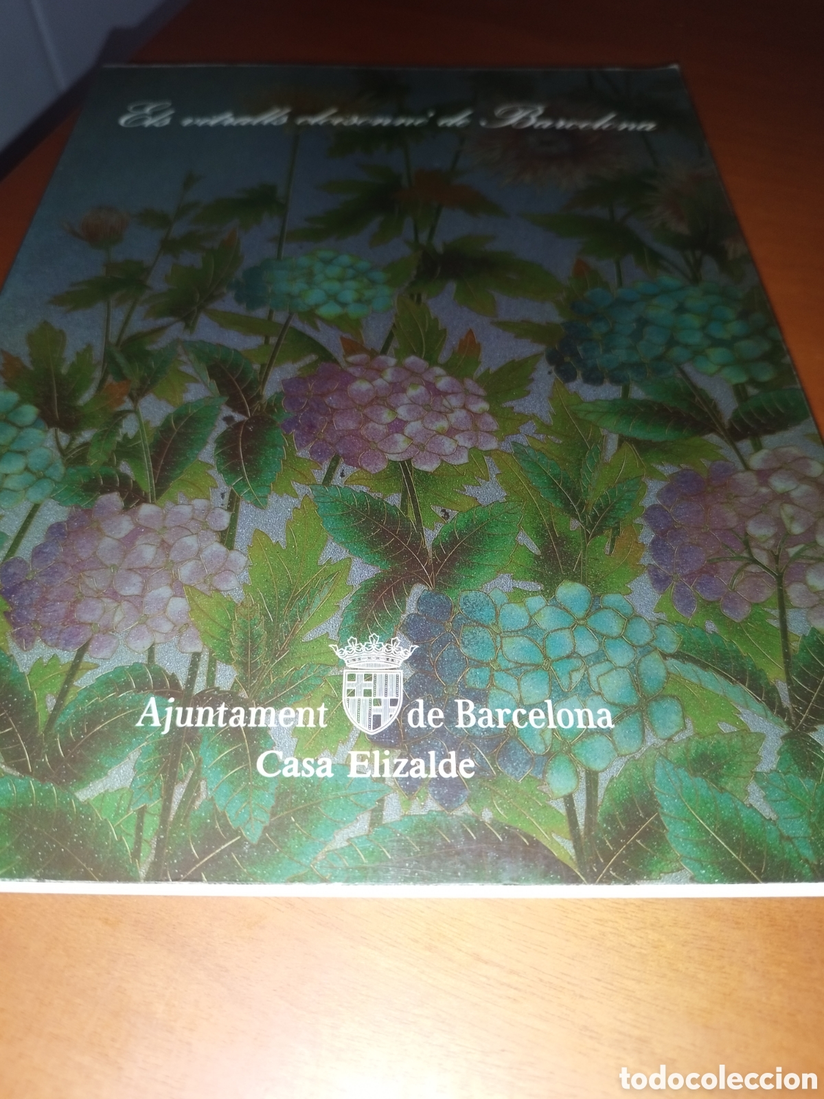 Libros de segunda mano: ELS VITRALLS CLOISONNE DE BARCELONA. CATALOGO EXPOSICION 1985 (EN CATALAN)