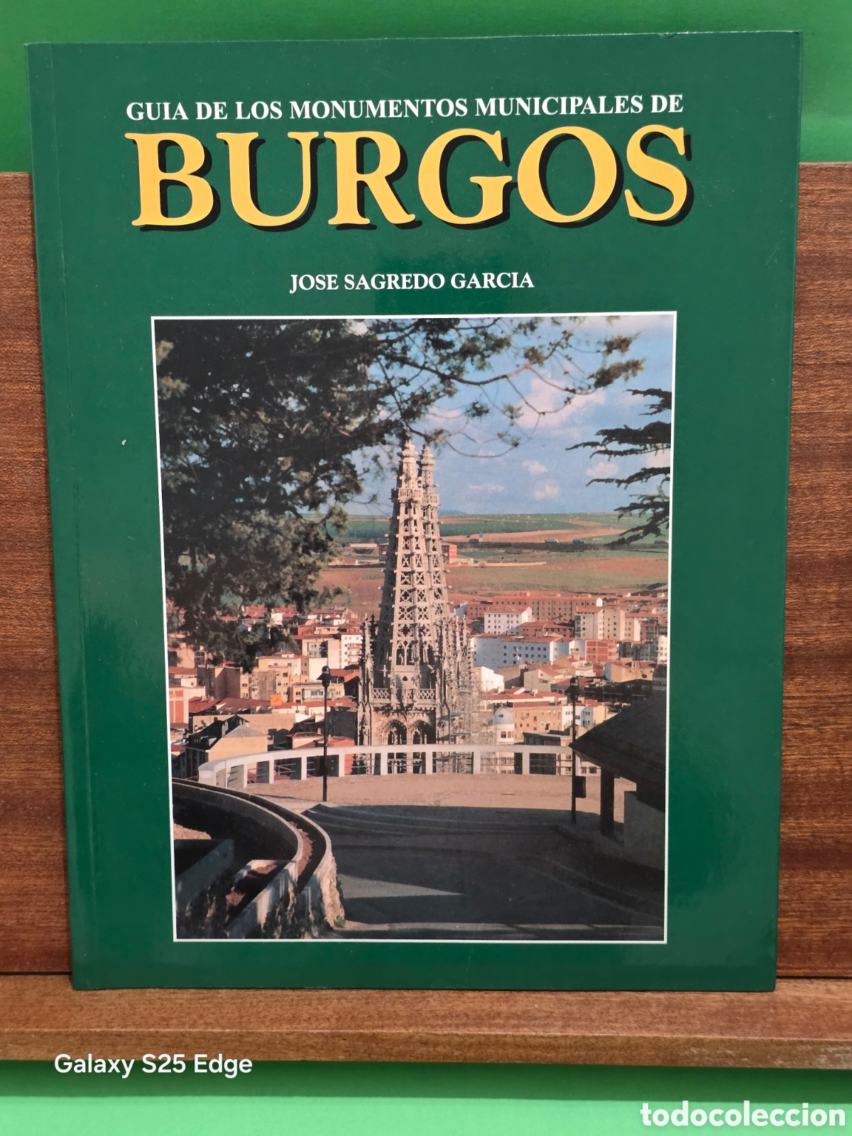 Libros de segunda mano: &rdquo;&rdquo;GU&Iacute;A DE MONUMENTOS MUNICIPALES DE BURGOS&rdquo;&rdquo;...JOSE SAGREDO GARC&Iacute;A...1999...