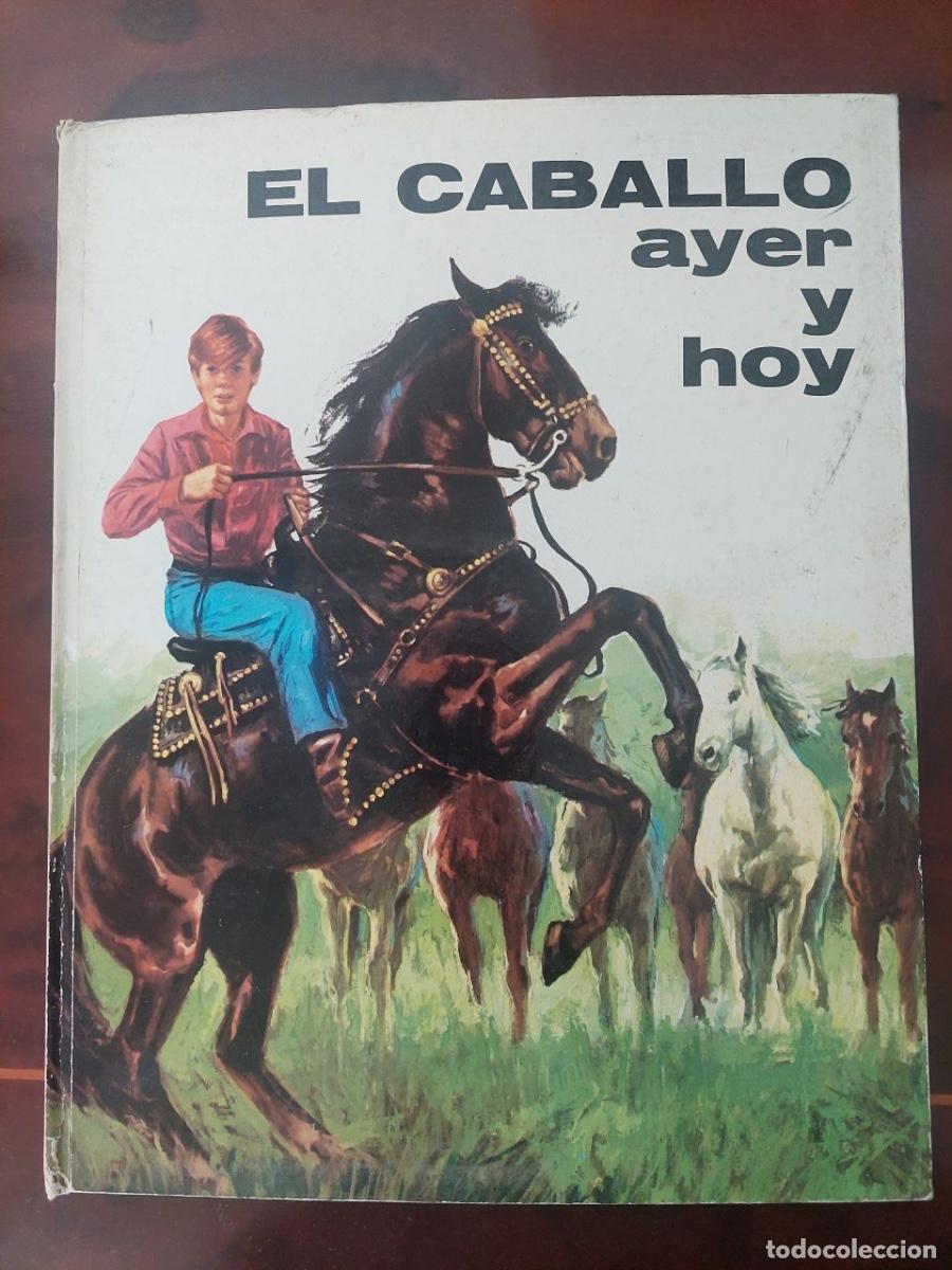 Libros de segunda mano: El caballo ayer y hoy - Jos&eacute; Manuel de la Prada. Ilustrado por Jaime Garc&iacute;a. Plaza y Jan&eacute;s, 1972