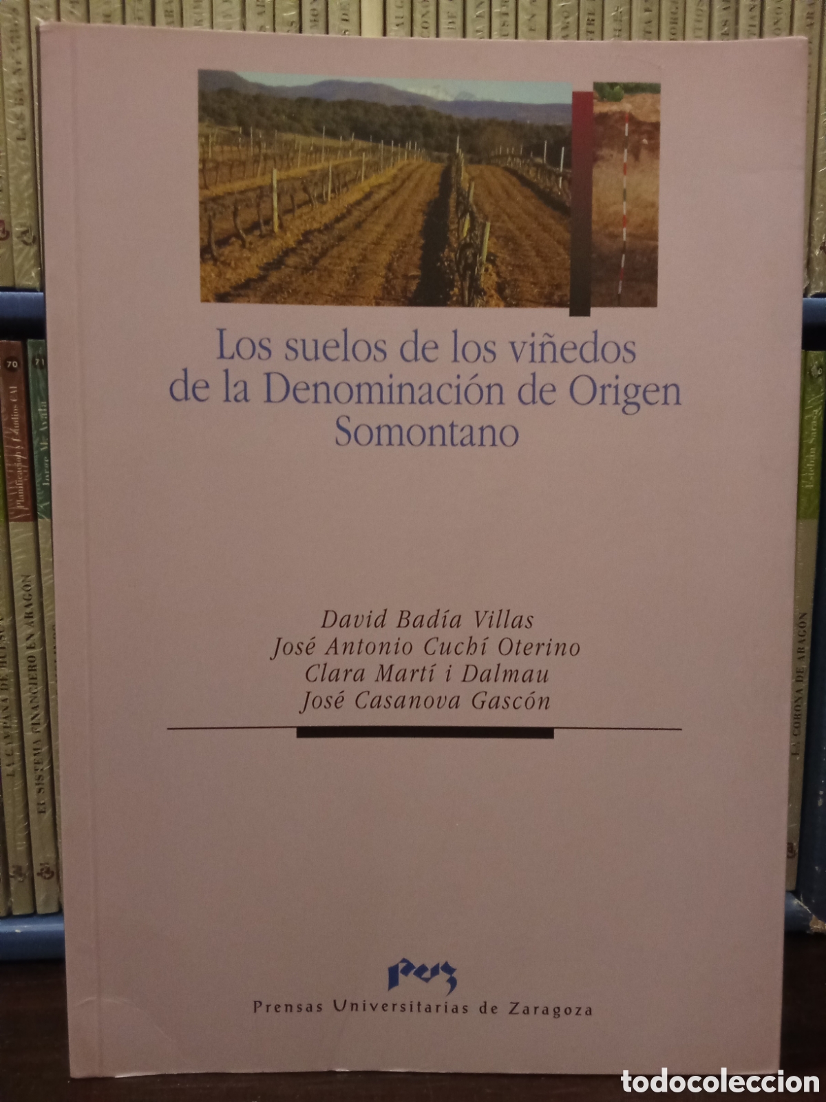 Libros de segunda mano: LOS SUELOS DE LOS VI&Ntilde;EDOS DE LA DENOMINACI&Oacute;N DE ORIGEN SOMONTANO - DAVID BAD&Iacute;A VILLAS JOS&Eacute; ANTONIO