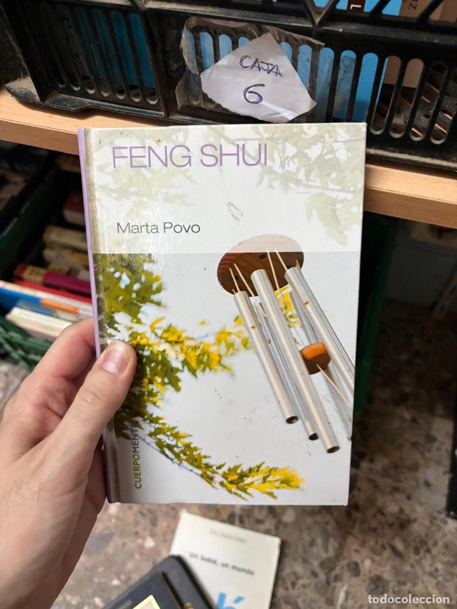 Libros de segunda mano: CAJA6 Marta Povo, Feng Shui