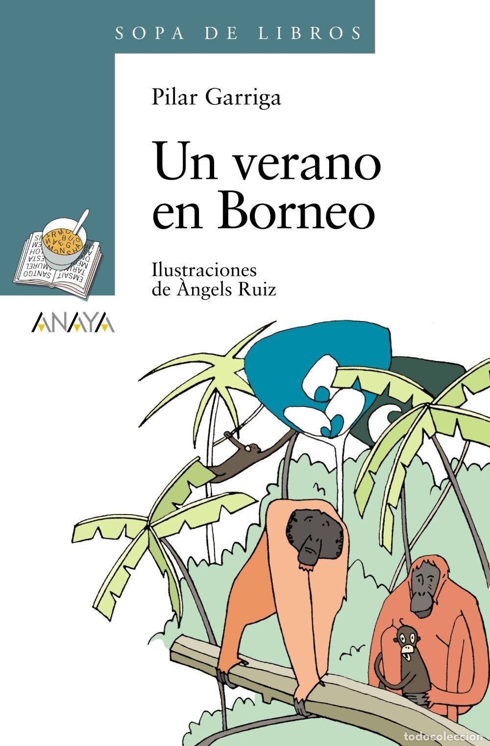 Libros de segunda mano: Un Verano en Borneo: Anaya - Pilar Garriga - Infantil y Juvenil - Sopa de Libros, N&ordm; 133
