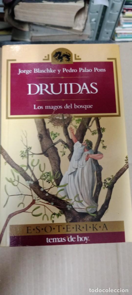 Libros de segunda mano: BLASCHKE Y PONS : DRUIDAS, LOS MAGOS DEL BOSQUE (TEMAS DE HOY, 1995) LIBRO GG-BGA