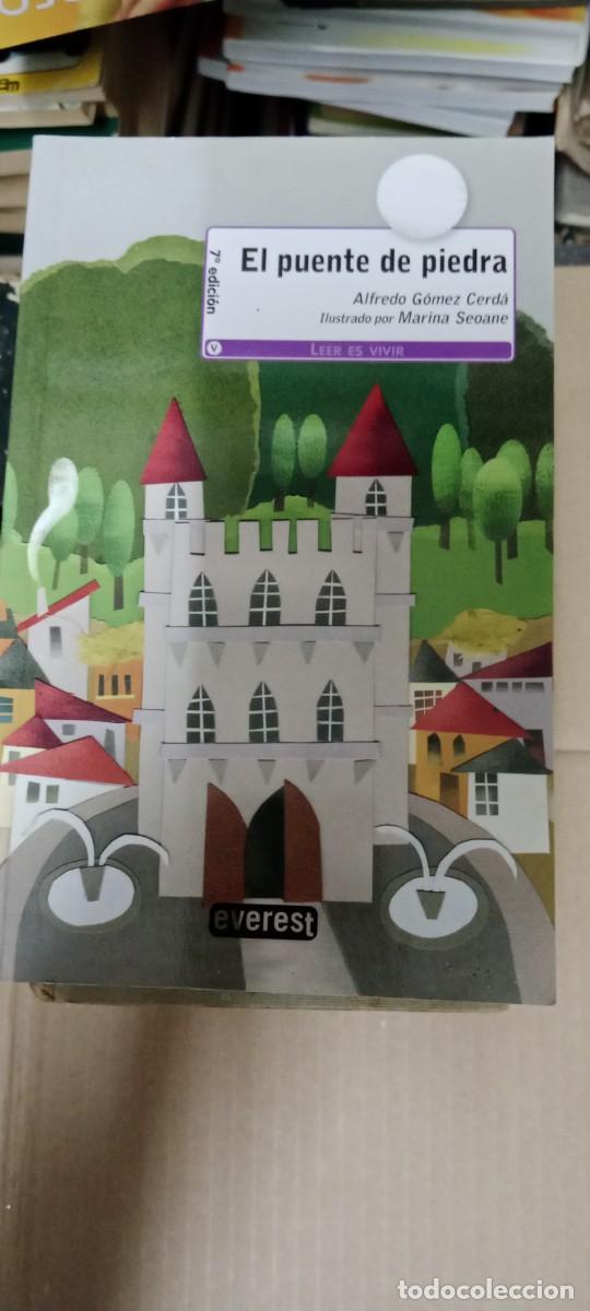 Libri di seconda mano: EL PUENTE DE PIEDRA ALFREDO GOMEZ CERDA LIBRO GG-BGA