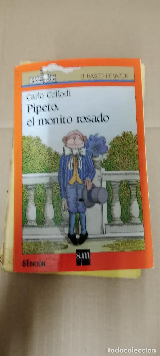 Gebrauchte B&uuml;cher: PIPETO, EL MONITO ROSADO. EL BARCO DE VAPOR. - CARLO COLLODI. LIBRO GG-BGA