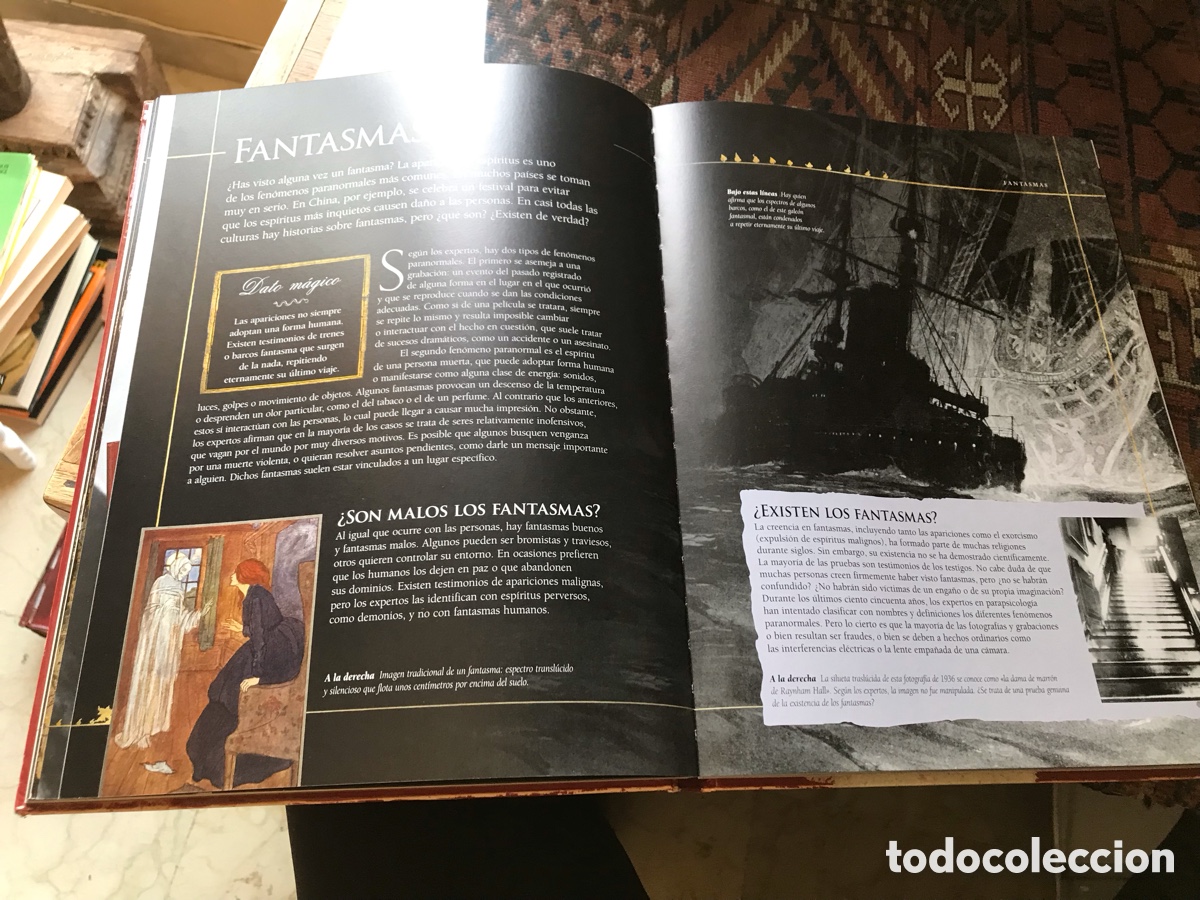 Libros de segunda mano: Enciclopedia de las criaturas m&aacute;gicas. Julia Bruce - Foto 8