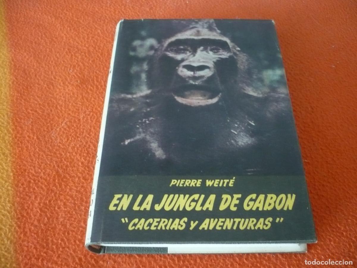 Libros de segunda mano: EN LA JUNGLA DE GABON CACERIAS Y AVENTURAS ( PIERRE WEITE ) CAZADOR CAZA AFRICA