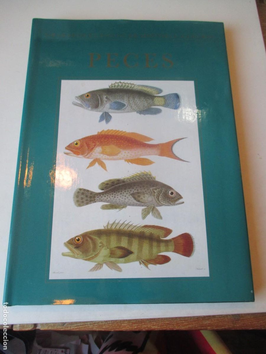 Libros de segunda mano: Grabados cl&aacute;sicos de historia natural PECES W41597
