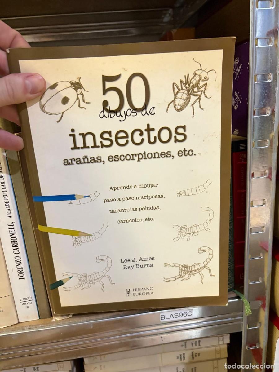 Libros de segunda mano: BLAS96C 50 dibujos de insectos ara&ntilde;as escorpiones etc Lee J. Ames y Ray Burns - aprender a dibujar