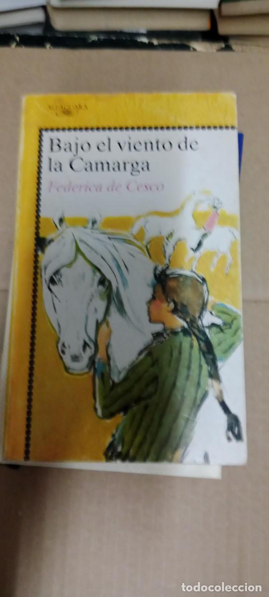Libros de segunda mano: BAJO EL VIENTO DE LA CAMARGA FEDERICA DE CESCO LIBRO GG-BGA
