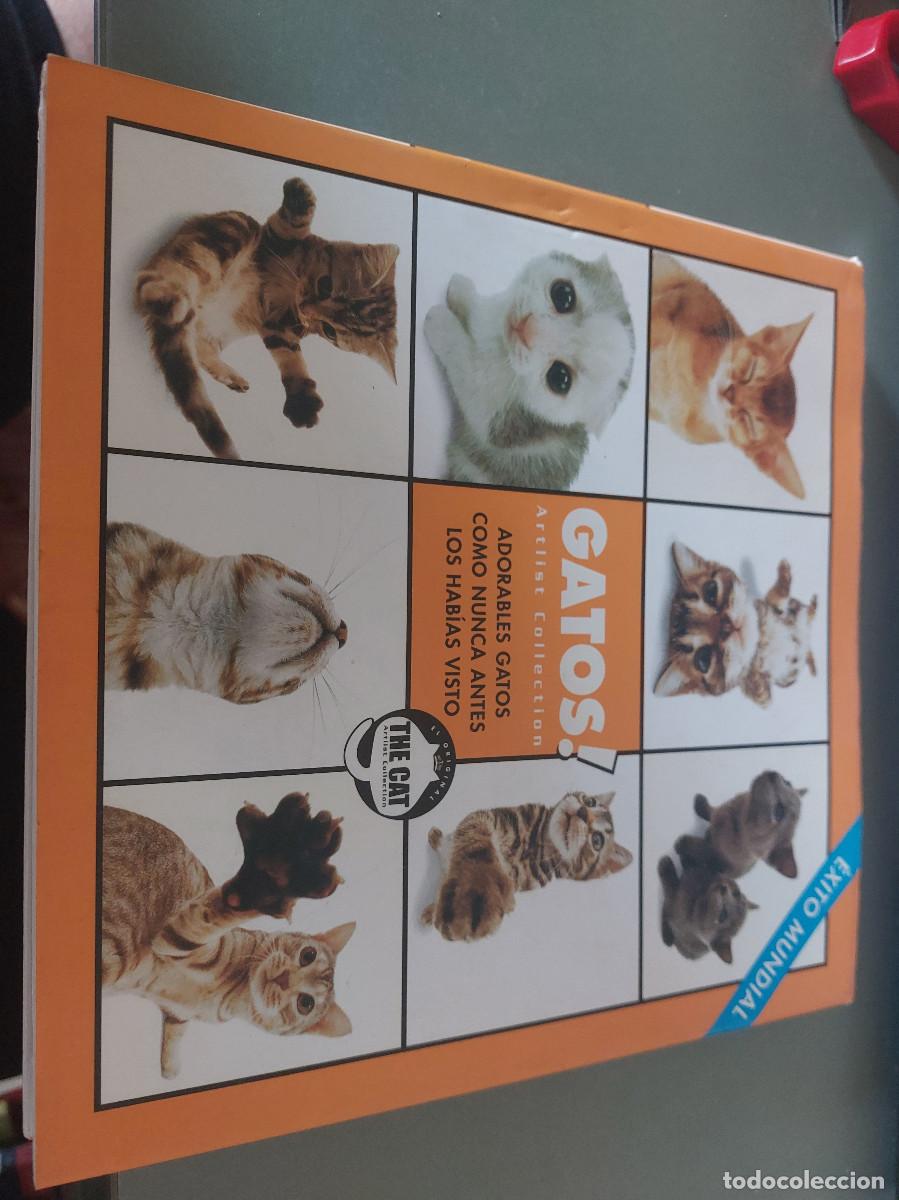 Libros de segunda mano: Gatos. Artlist Collection. Fotos de gatos. Tapa dura. Buen estado. caj. 83