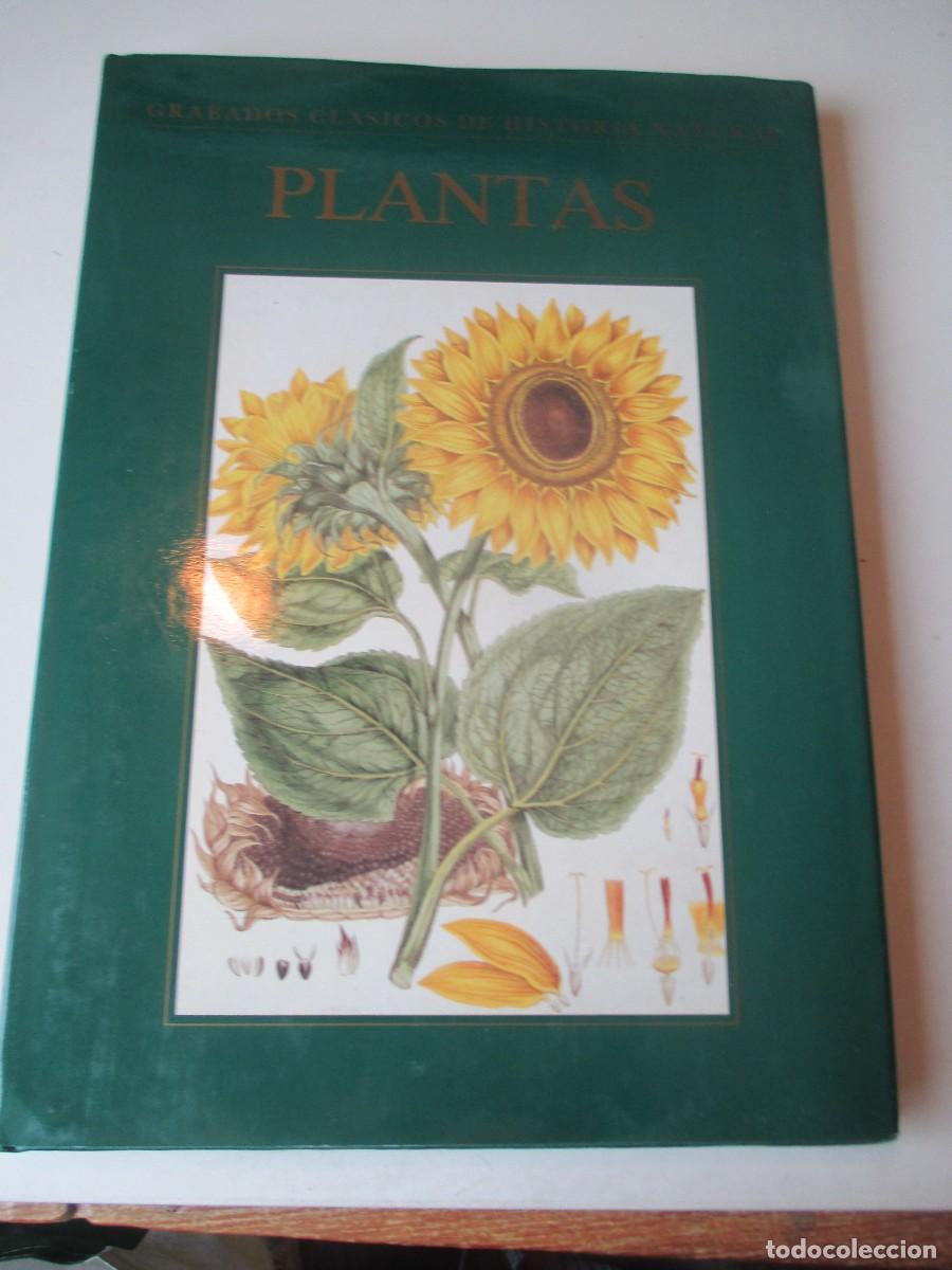 Libros de segunda mano: Grabados cl&aacute;sicos de historia natural PLANTAS W41619