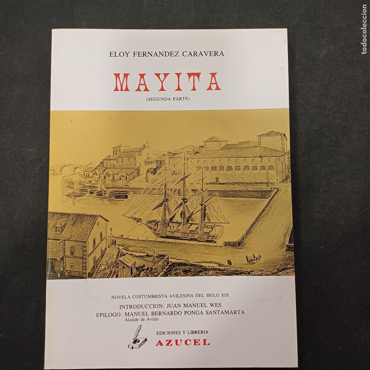 Libros de segunda mano: MAYITA/ELOY FERNANDEZ/SEGUNDA PARTE/NOVELA COSTUMBRISTA AVILESINA DEL SIGLO XIX.