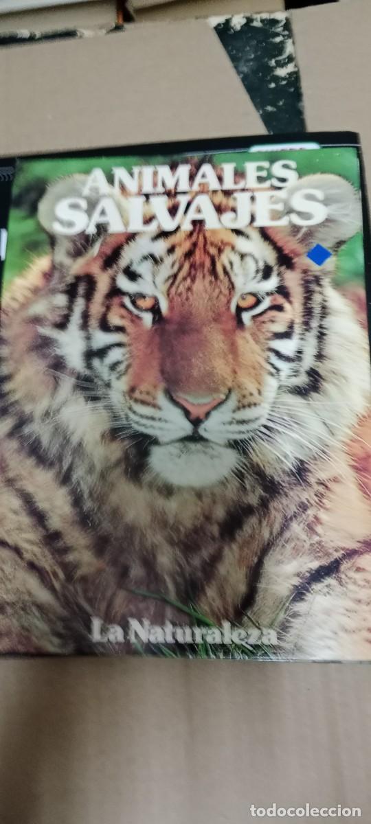 Libros de segunda mano: ANIMALES SALVAJE LA NATURALEZA LIBRO M-80