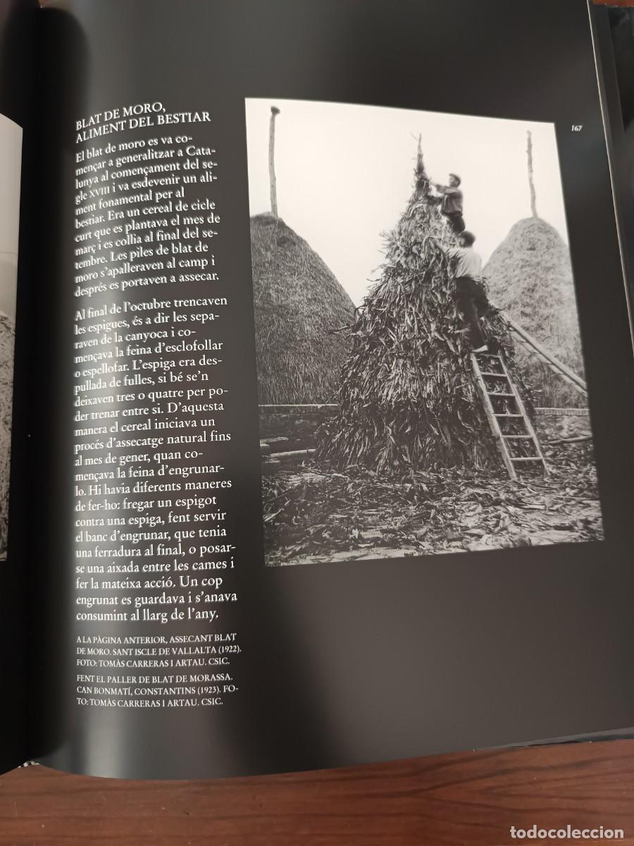 Libros de segunda mano: La vida rural a Catalunya - Foto 5