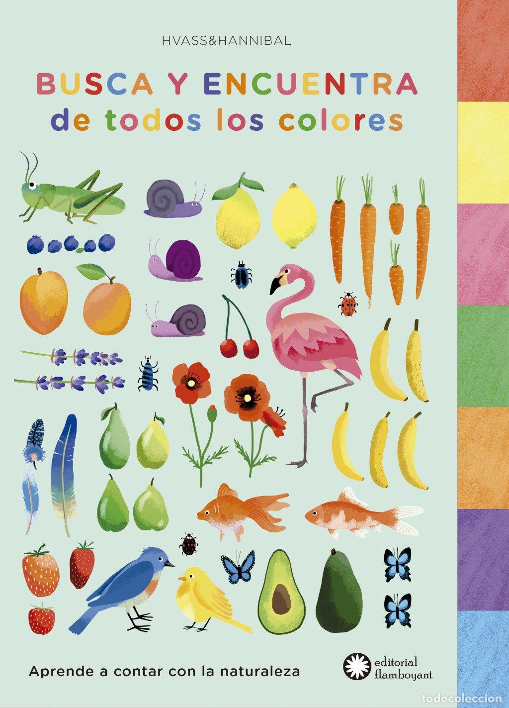 Libros de segunda mano: Busca y Encuentra de Todos los Colores: Aprende a Contar con la Naturalez - Aa.vv - Flamboyant