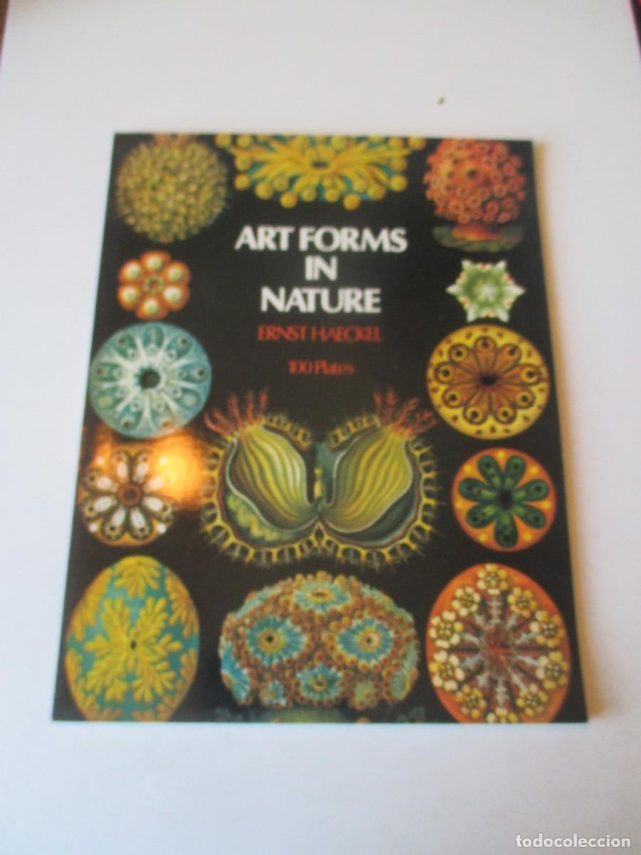 Libros de segunda mano: ERNST HAECKEL Art forms in nature (sin texto , totalmente ilustrado) W41638