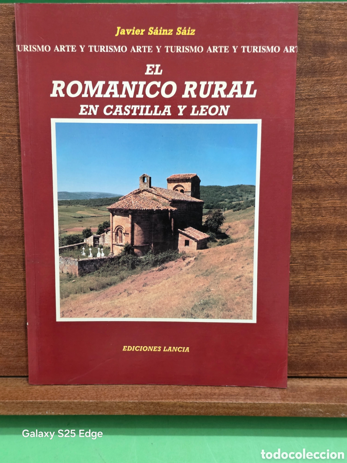 Libros de segunda mano: &rdquo;&rdquo;EL ROM&Aacute;NICO RURAL EN CASTILLA Y LE&Oacute;N&rdquo;&rdquo;...JAVIER SAINZ SAIZ...EDICIONES LANCIA...1995...