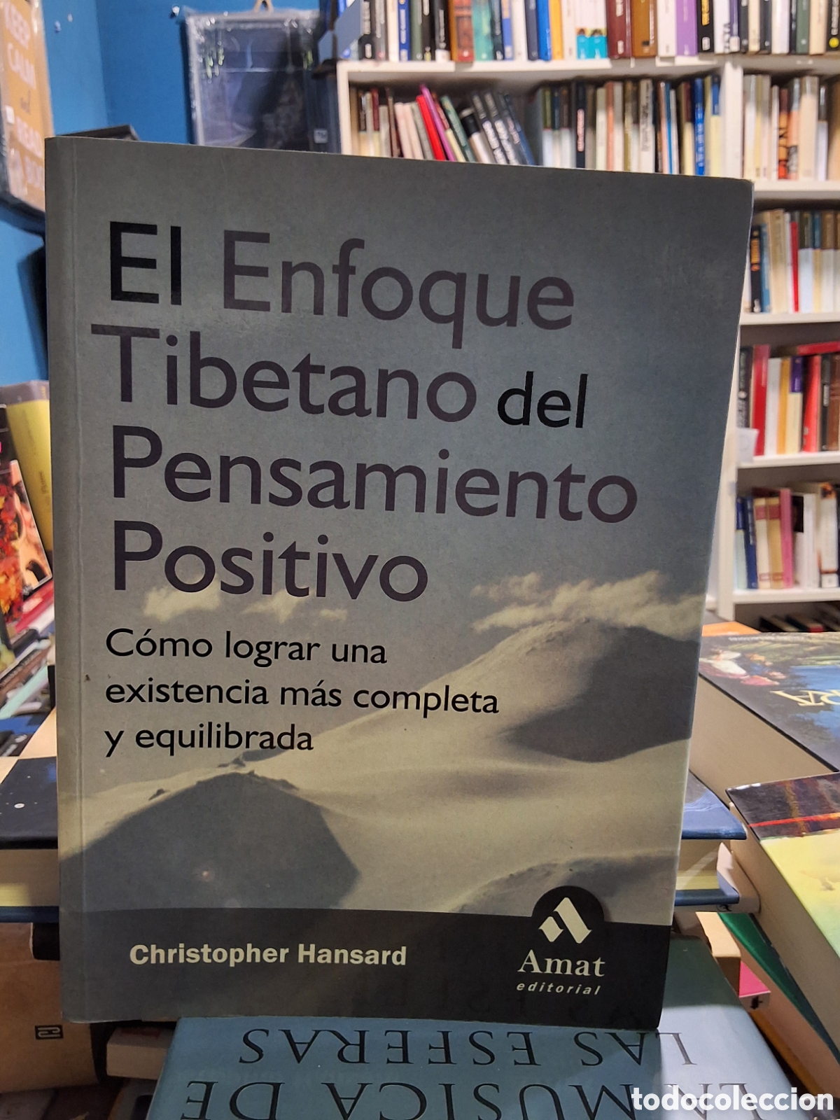 Libros de segunda mano: EL ENFOQUE TIBETANO DEL PENSAMIENTO POSITIVO - C&Oacute;MO LOGRAR UNA EXISTENCIA M&Aacute;S COMPLETA Y EQUILIBRADA