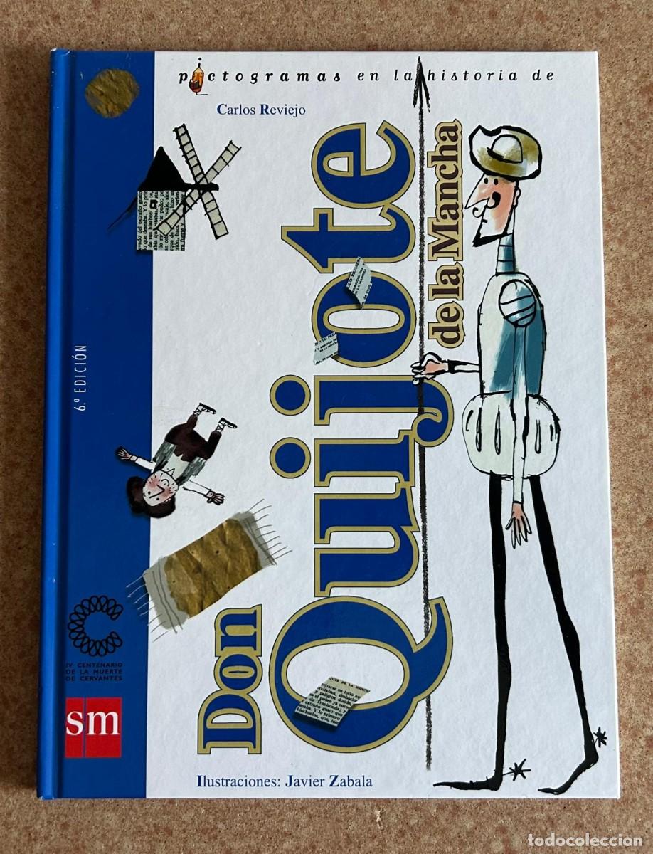Libros de segunda mano: DON QUIJOTE - PICTOGRAMAS EN LA HISTORIA Ed. SM