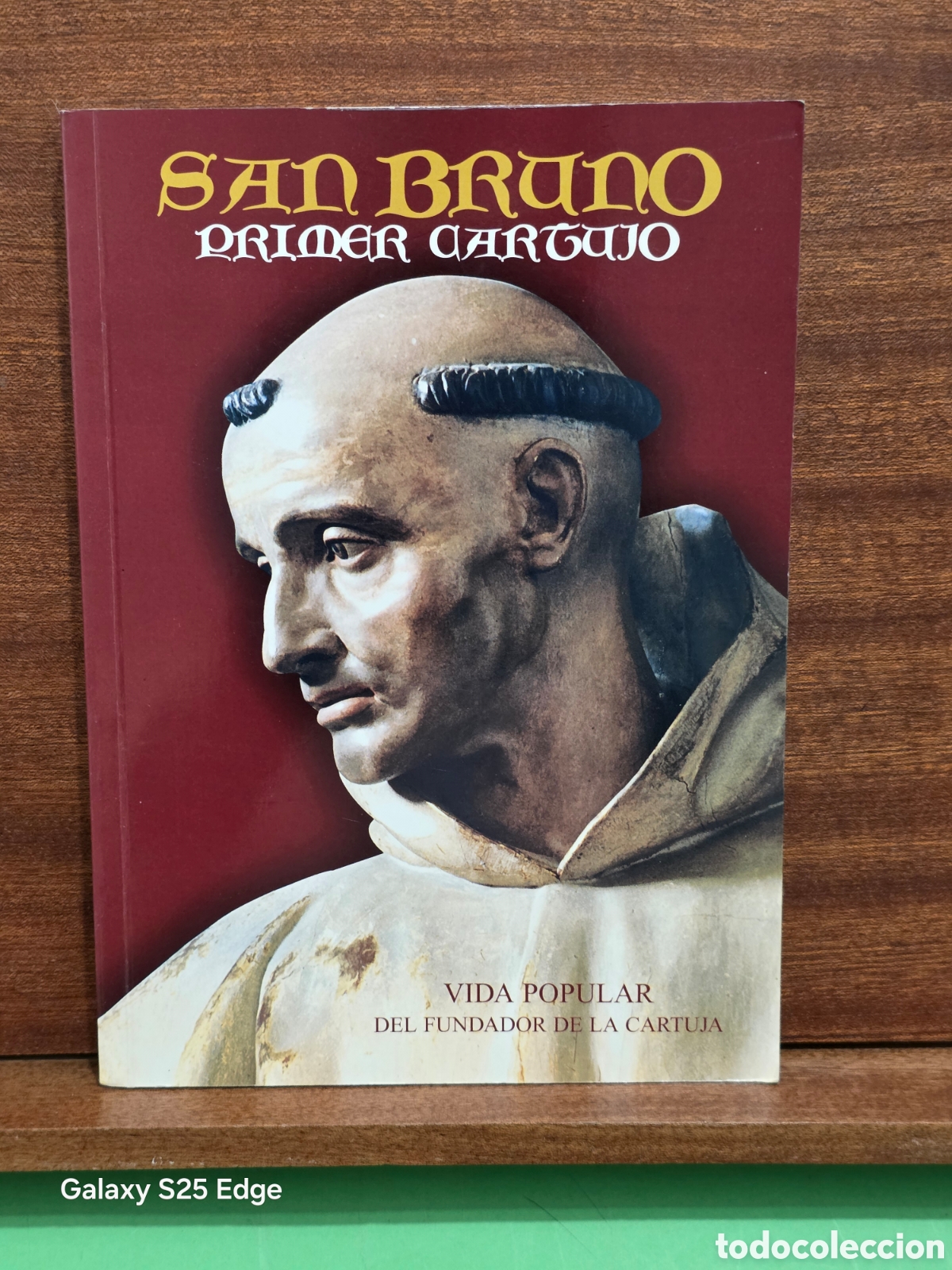 Libros de segunda mano: &rdquo;&rdquo;SAN BRUNO, PRIMER CARTUJO&rdquo;&rdquo;...VIDA POPULAR DEL FUNDADOR DE LA CARTUJA...2001...