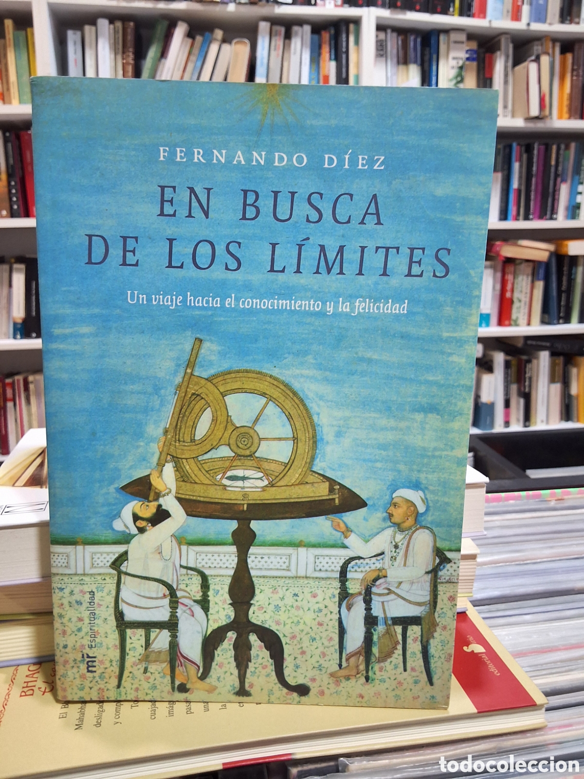 Libros de segunda mano: EN BUSCA DE LOS LIMITES - UN VIAJE HACIA EL CONOCIMIENTO Y LA FELICIDAD - F. D&Iacute;EZ