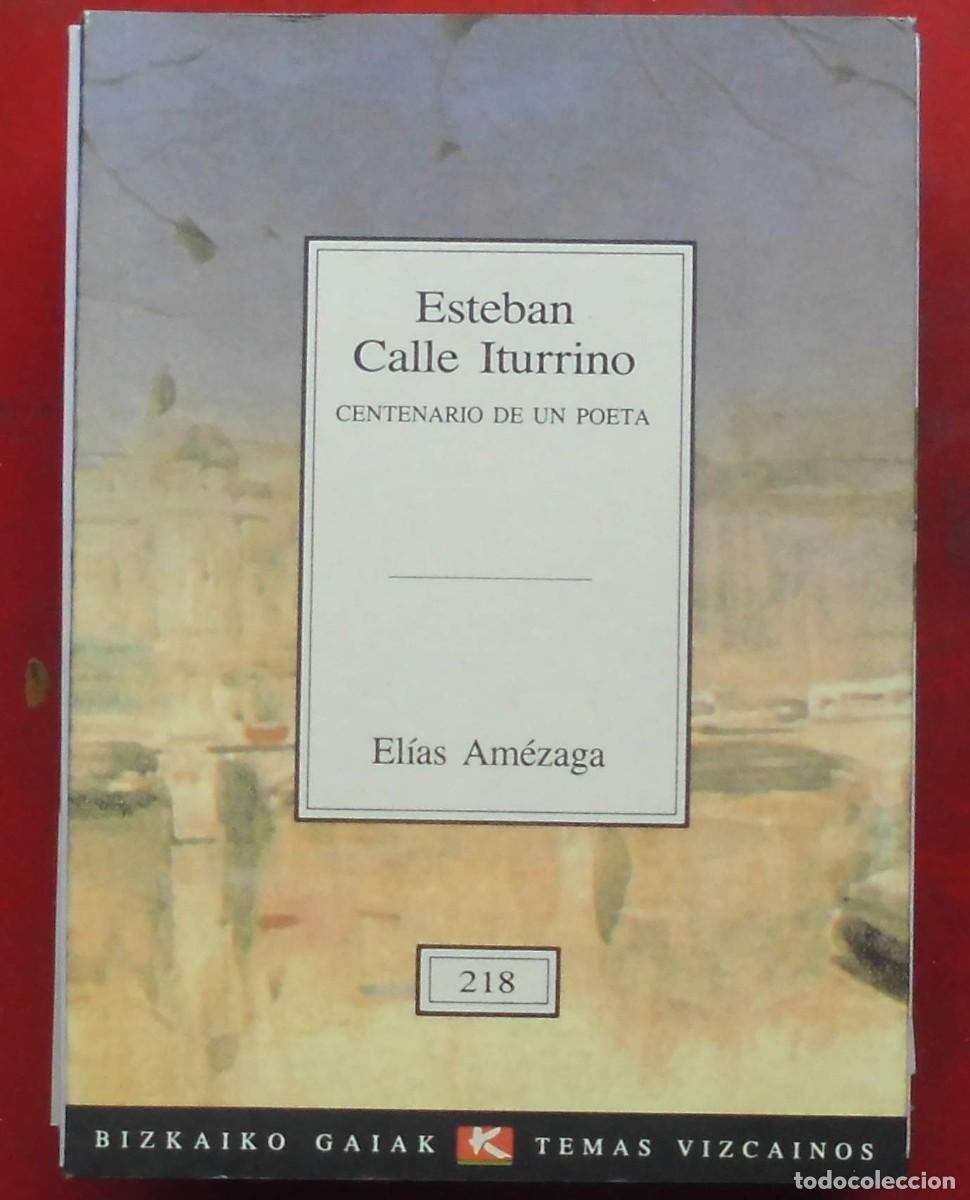 Libros de segunda mano: TEMAS VIZCA&Iacute;NOS. ESTEBAN CALLE ITURRINO