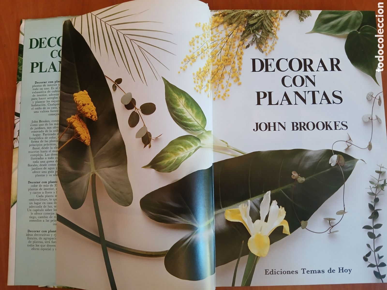 Libros de segunda mano: Decorar con plantas. John Brooks. - Foto 3