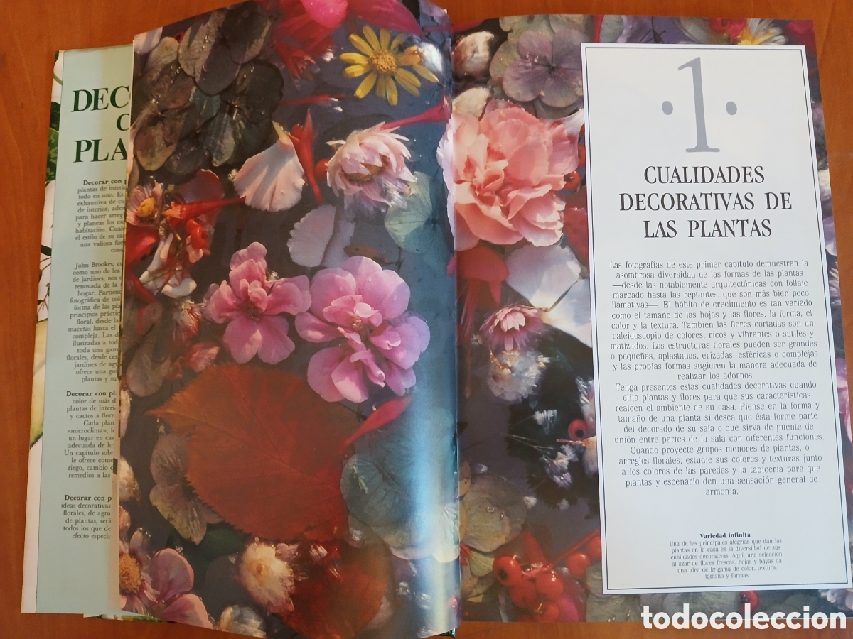 Libros de segunda mano: Decorar con plantas. John Brooks. - Foto 6